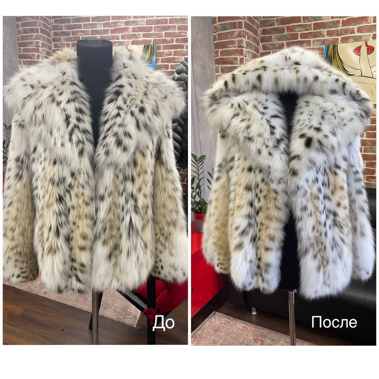 Услуги химчистки